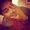 Photo of Rondric R.