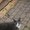 Photo of Qype User (leeann…)