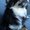 Photo of Keiko W.