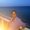 Photo of Lizbeth N.
