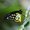 Photo of Qype User (Aund…)