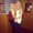 Photo of Callie M.