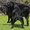 Photo of Carolyn B.