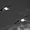 Photo of Mouette G.