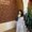 Photo of Humaira K.