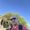 Photo of Robert T.