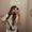 Photo of Rache M.