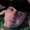 Photo of Cody F.