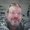 Photo of Jeff F.