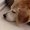 Photo of Taffy's M.