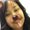 Photo of Estefany C.