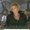 Photo of Jane G.