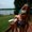 Photo of Caitlin S.