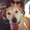 Photo of Lexy P.