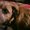 Photo of Qype User (chocan…)