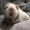 Photo of Peg K.