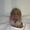 Photo of Chandru N.