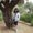 Photo of Linette S.
