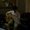 Photo of Hiroaki K.