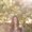 Photo of Haley G.