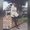 Photo of Salaar K.