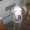 Photo of Gonzo P.