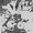 Photo of Holly M.