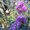 Photo of Qype User (lucyoc…)