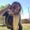Photo of Kaylee H.