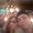 Photo of Virginia N Jason R.
