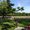 Photo of Shatha A.