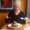 Photo of Miss Denice R.