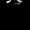Photo of O T.