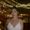 Photo of Ana C.