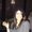 Photo of Shraddha M.