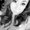 Photo of Cindy P.