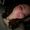 Photo of Madi F.