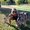Photo of Jessi P.