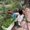Photo of Linh N.