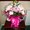 Photo of Qype User (mybutt…)