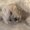 Photo of Corina F.
