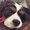 Photo of Jade W.