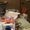 Photo of Jodi B.