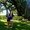 Photo of Mandy G.