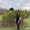 Photo of Lucero L.