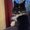 Photo of Inga S.