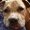 Photo of Cheryl B.