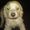 Photo of Genavie S.