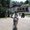 Photo of Lenka H.