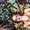 Photo of Samantha H.